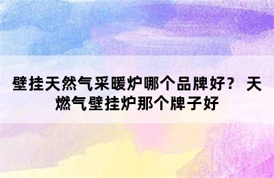 壁挂天然气采暖炉哪个品牌好？ 天燃气壁挂炉那个牌子好